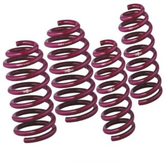 Vogtland Suspension 950072 Lowering Kit Purple Springs 99-01 Audi A4 Quattro